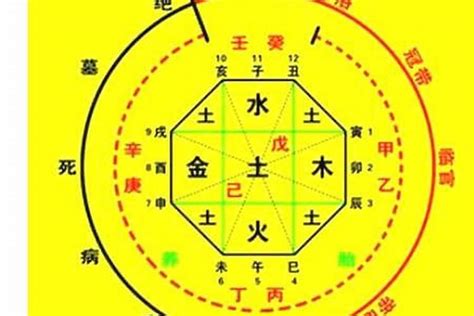 八字數字|生辰八字算命、五行喜用神查詢（免費測算）